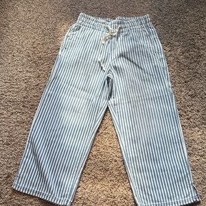Striped Blue and White Womens Pants